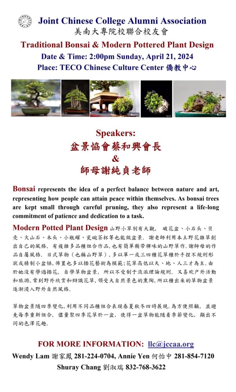 Traditional Bonsai & Modern Pottered Plant Design Event